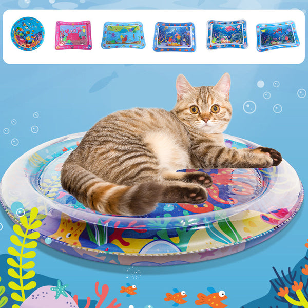 AquaPaws – Das ultimative Spielvergnügen für Katzen