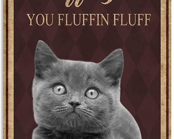 Fluff You -  Katze Canvas