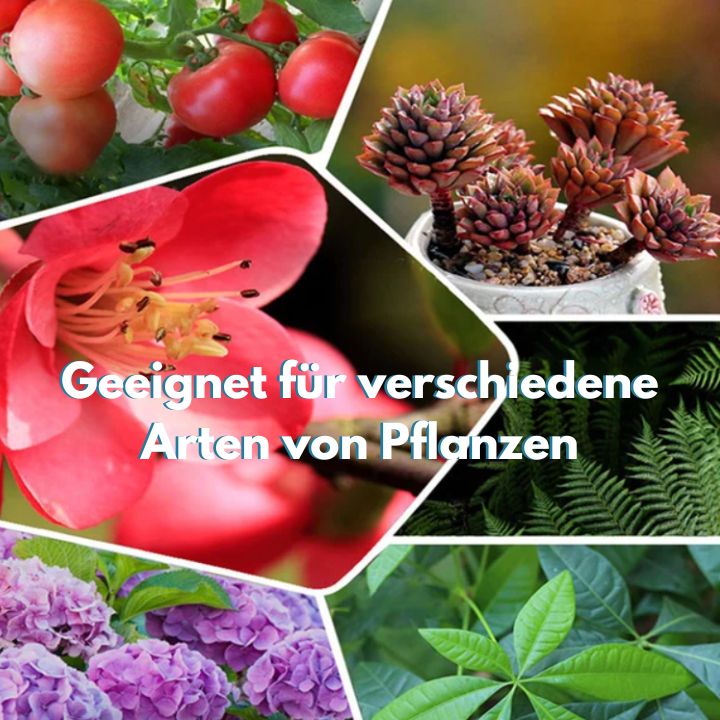 PlantGrow™️ - Umweltfreundliches Wachstumsförderer für Ihre Pflanzen | 1+1 Gratis!
