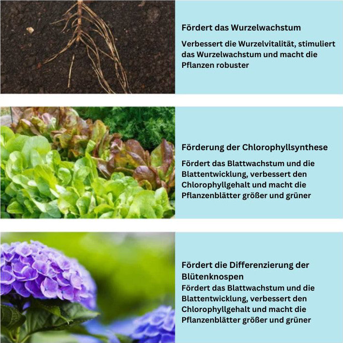 PlantGrow™️ - Umweltfreundliches Wachstumsförderer für Ihre Pflanzen | 1+1 Gratis!