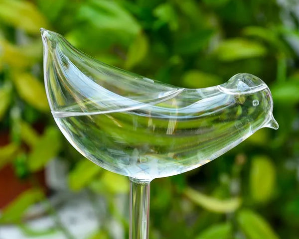2+2 GRATIS | BirdGlass - Automatische Vogeltränke aus Glas [Letzter Tag Rabatt]