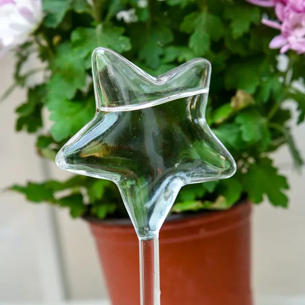 2+2 GRATIS | BirdGlass - Automatische Vogeltränke aus Glas [Letzter Tag Rabatt]
