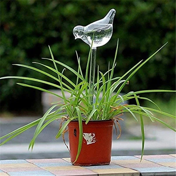 2+2 GRATIS | BirdGlass - Automatische Vogeltränke aus Glas [Letzter Tag Rabatt]