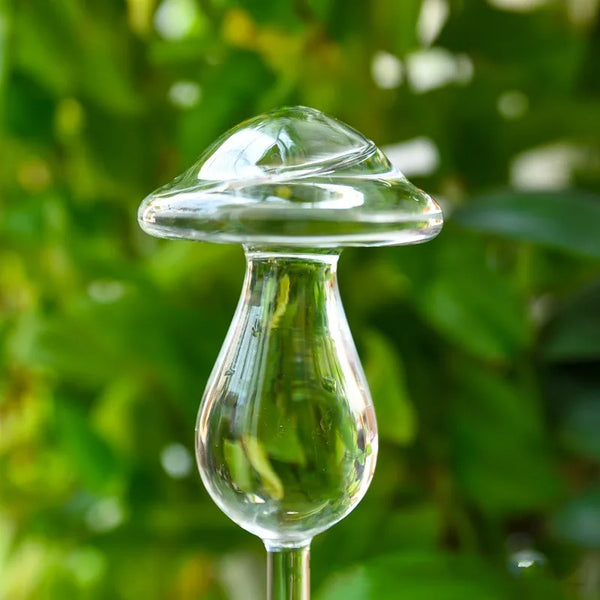 2+2 GRATIS | BirdGlass - Automatische Vogeltränke aus Glas [Letzter Tag Rabatt]