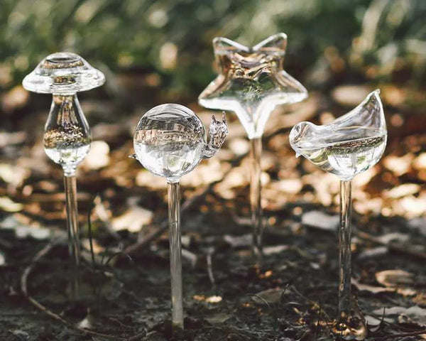 2+2 GRATIS | BirdGlass - Automatische Vogeltränke aus Glas [Letzter Tag Rabatt]