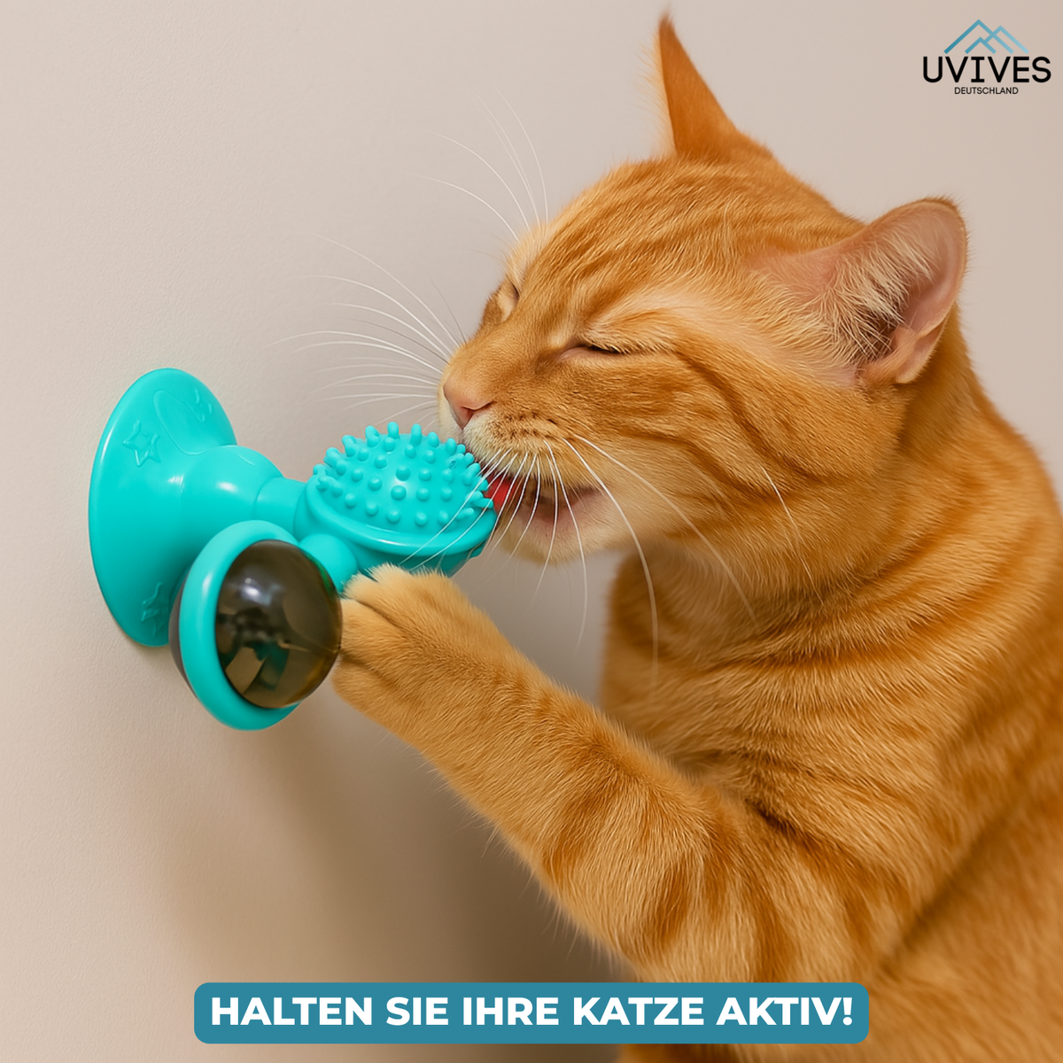 SpinPaw™ – Endloser Spielspaß & Bewegung für Ihre Katze!