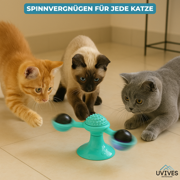 SpinPaw™ – Endloser Spielspaß & Bewegung für Ihre Katze!