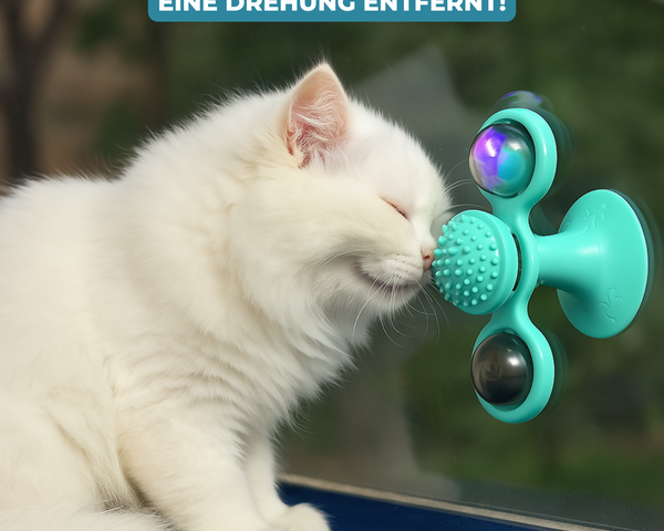 SpinPaw™ – Endloser Spielspaß & Bewegung für Ihre Katze!