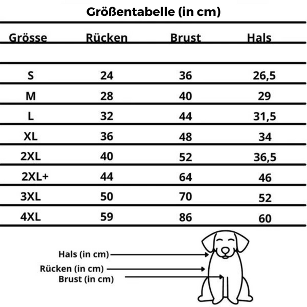 WinterCare™ | Schütze deinen Hund vor Kälte und Unterkühlung