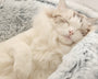 KittyCove™ - Schlafkorb für Ihre Katze [Letzter Tag Rabatt]