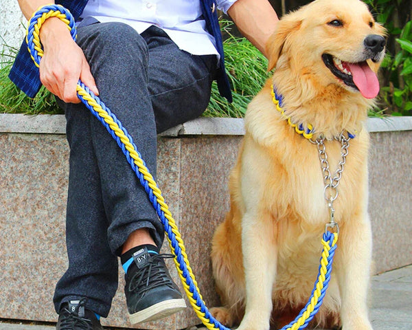 Robustes Hundehalsband mit Leine für Große & Starke Hunde – Perfekte Kontrolle & Komfort