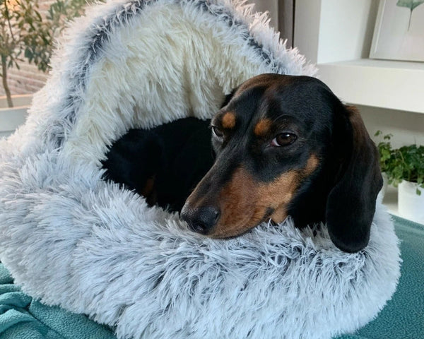 Cozycave™-Haustierbett
