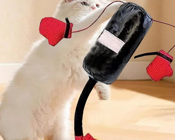 PawPunch – Das interaktive Boxsack-Spielzeug für Katzen