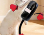 PawPunch – Das interaktive Boxsack-Spielzeug für Katzen