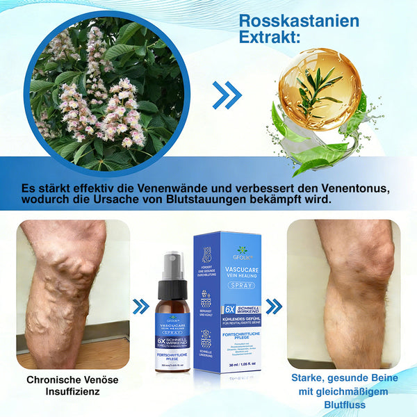 🇩🇪🏃‍🌿GFOUK® VascuCare Vein Healing Spray(Entwickelt für Krampfadern, Besenreiser, tiefe Venenthrombose (TVT), chronische venöse Insuffizienz, venöse Geschwüre, Thrombophlebitis und andere venöse Beschwerden)