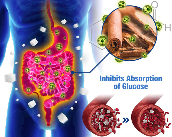 GesundheitsPatch™️ Blutzucker Balance Pflaster