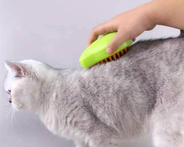 SteamBrush™ – 2-in-1 Haustierpflege und Massagebürste für gesundes Fell
