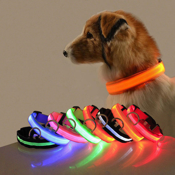 LED-Aufladbare Hundehalskette – Sicherheit und Stil für Ihren Hund