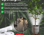 1+1  GRATIS | SpotLight - Kabelloser LED-Strahler [Letzter Tag Rabatt]
