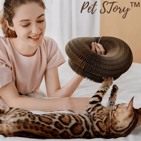 PetStory™ - Interaktives Katzenspielzeug für stundenlangen Spielspaß