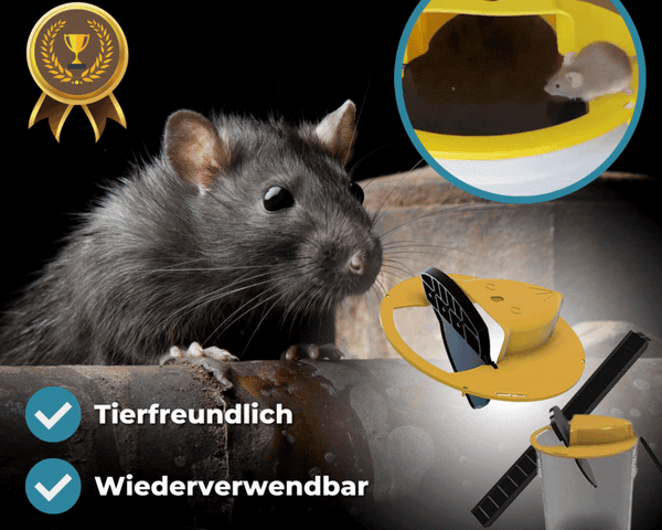 50% RABATT | Flip & Slide™ - Fangen Sie Schädlinge auf tierfreundliche Weise! [Letzter Tag Rabatt]