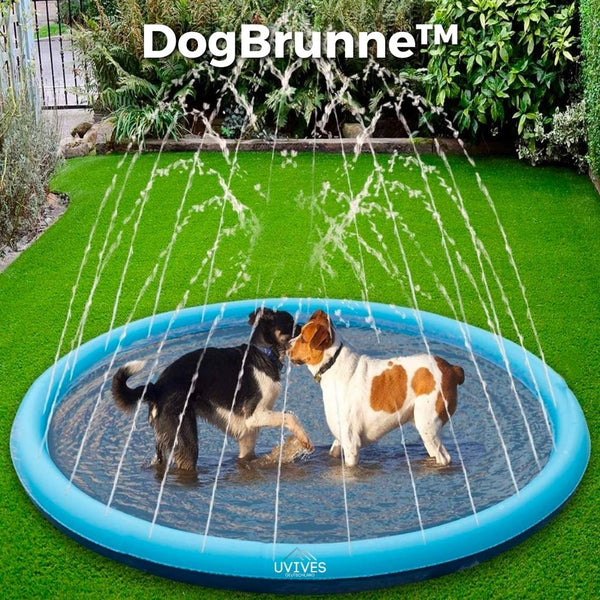 50% RABATT | DogBrunne™ - Halten Sie Ihren treuen Freund an heißen Sommertagen kühl!