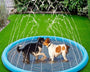 50% RABATT | DogBrunne™ - Halten Sie Ihren treuen Freund an heißen Sommertagen kühl!
