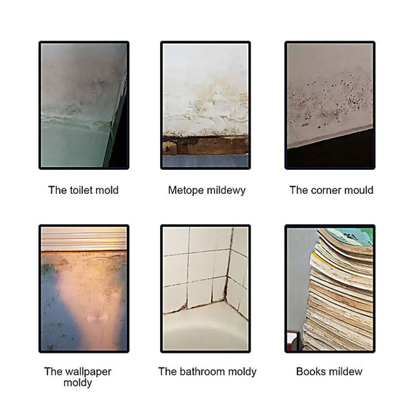 50% Rabatt | MoldPro™ Schimmelentfernungslösung