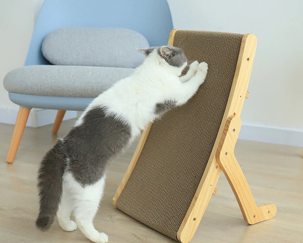 PurrPad™ Kratzkissen