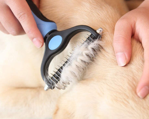 50% Rabatt | Petty - Pet Grooming Tool