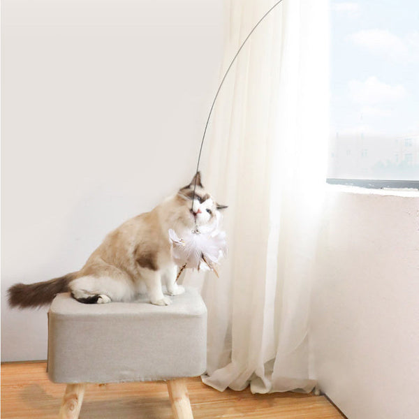 MeowFeather Toy - Interaktives Katzenspielzeug mit Federn [Letzter Tag Rabatt]