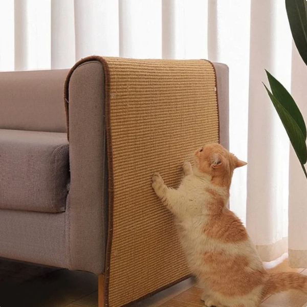 Scratchy™ – Der perfekte Kratzspaß für deine Katze und deine Möbel!
