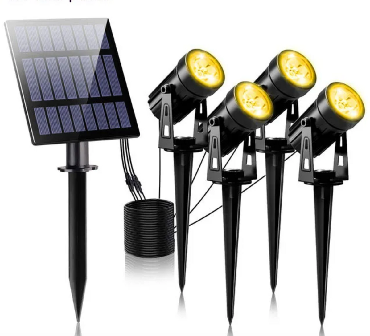2+3 GRATIS | SolarFocus - Solarstrahler
