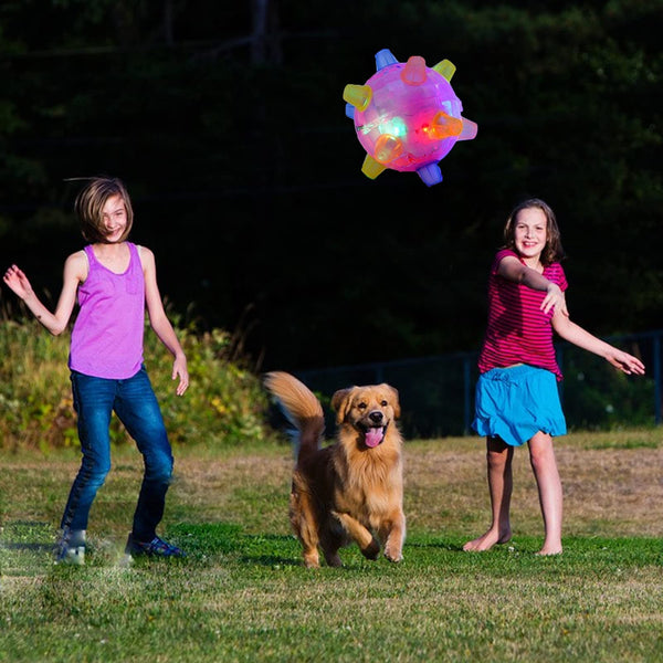 1+1 GRATIS | BounceBuddy™ – Der interaktive Hüpfball für Hunde!