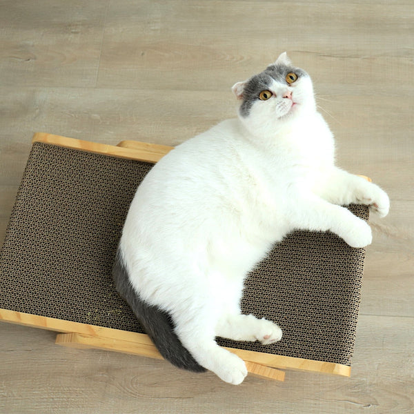 PurrPad™ Kratzkissen