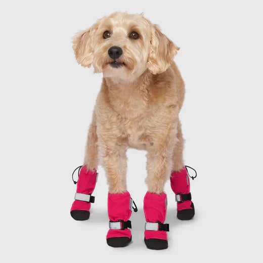 PetShoe™ - Komfortable Hundeschuhe für Schutz | 2+2 GRATIS!