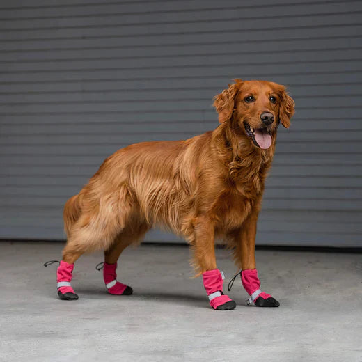 PetShoe™ - Komfortable Hundeschuhe für Schutz | 2+2 GRATIS!
