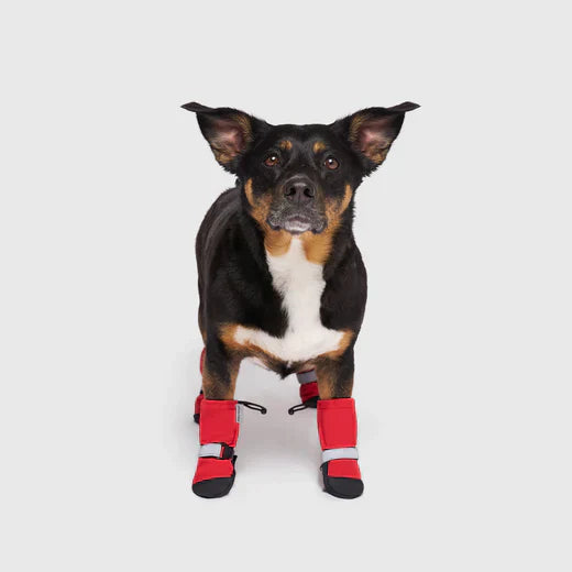 PetShoe™ - Komfortable Hundeschuhe für Schutz | 2+2 GRATIS!