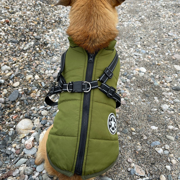 DoggyKönig™ 3 in 1 Jacket