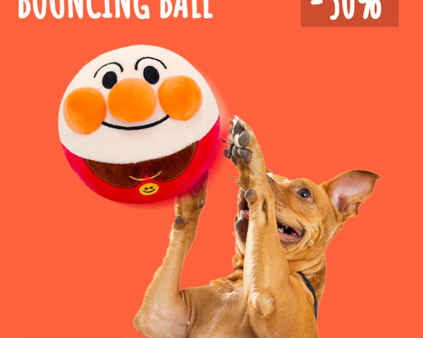 PawMotion – Stundenlanges Spielen ohne Langeweile