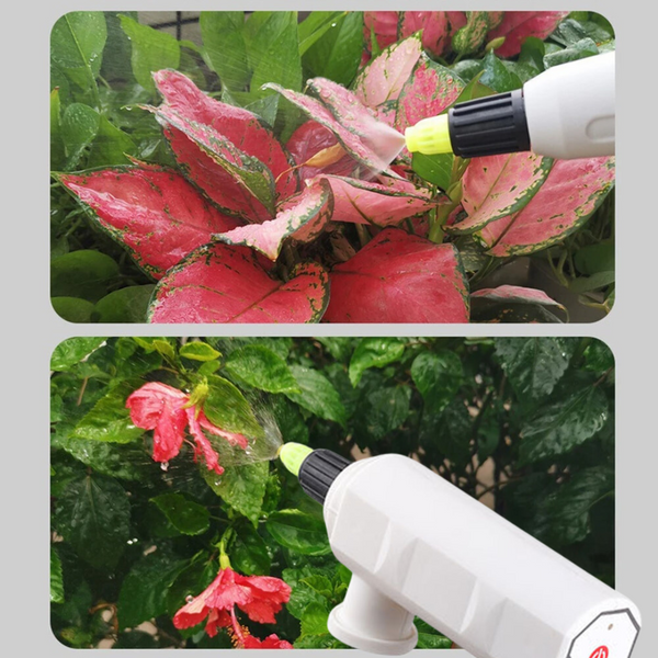 AquaSpray - Die innovative Lösung für müheloses Gießen!