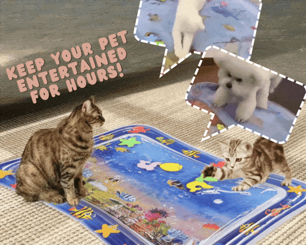 FurryMat - Water sensor play mats for cats [Last day discount]