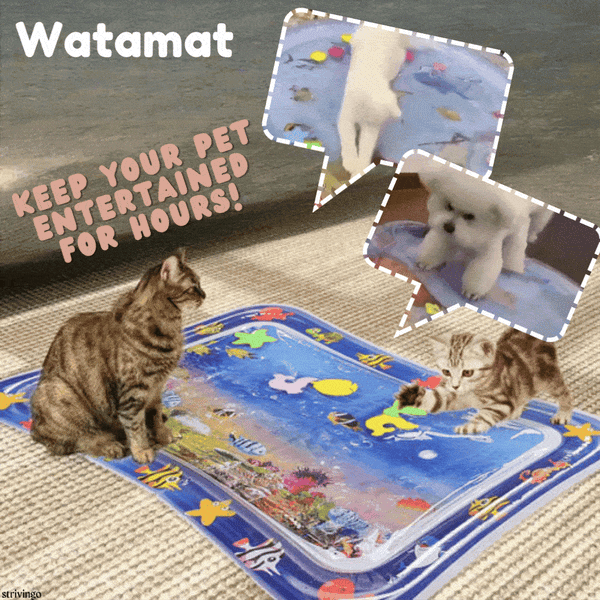 FurryMat - Water sensor play mats for cats [Last day discount]