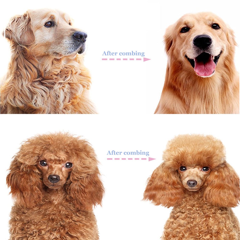 🔥 1+1 GRATIS 🎁 Professionelles Enthaarungs-Tool für Hunde & Katzen