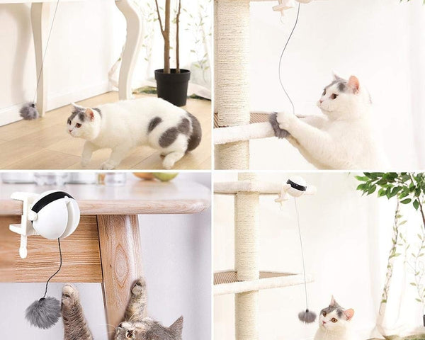 CatTumble - Automatisches Katzenspielzeug Ball