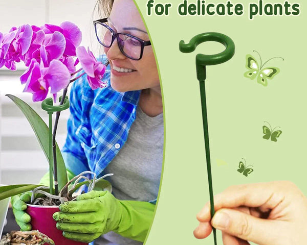 EasyStake™ – Perfekte Pflanzenstütze für Ihren Garten | 5+5 GRATIS!