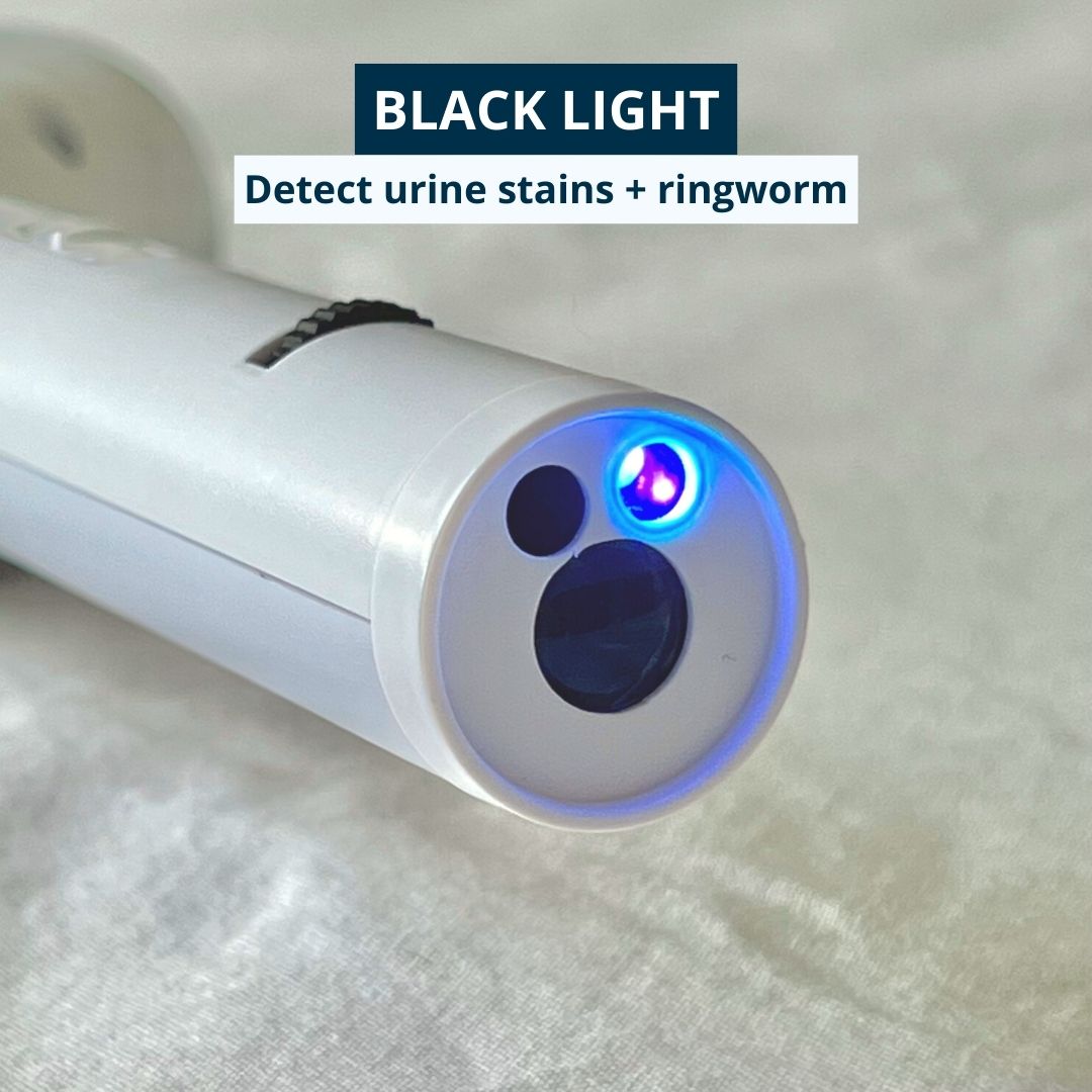 ProGroom™ - 5-in-1 Katzenbürste für Pflege und Fellentfernung