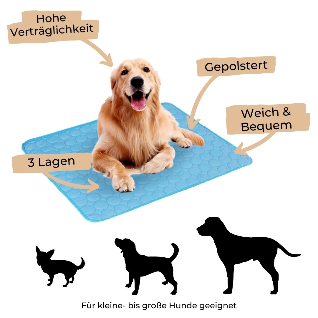 🐾 50% RABATT! ❄️ Premium Kühlmatte für Hunde & Katzen