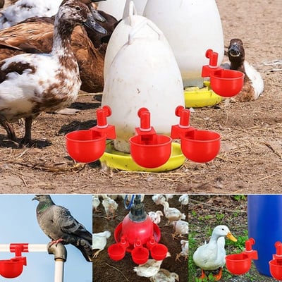3+3 GRATIS | AquaNest – Frisches Wasser für glückliche Tiere