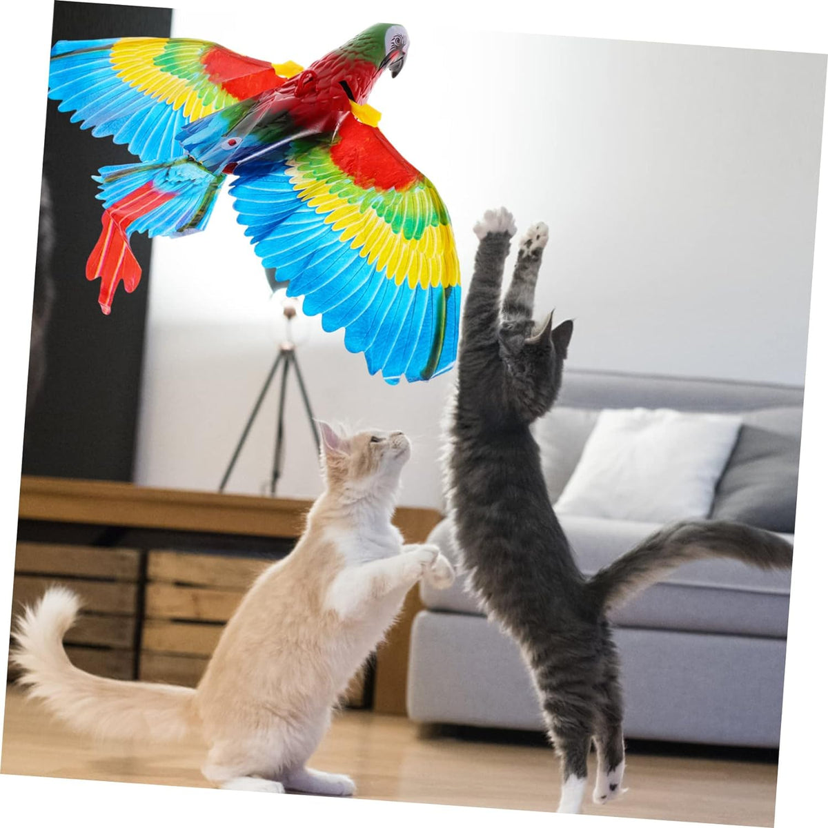 FlutterPaw™ – Der flatternde Vogel, der Katzen zum Spielen bringt!